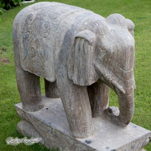 The Little Elephant